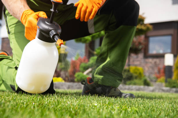 Best Affordable Pest Control Services  in Mount Dora, FL